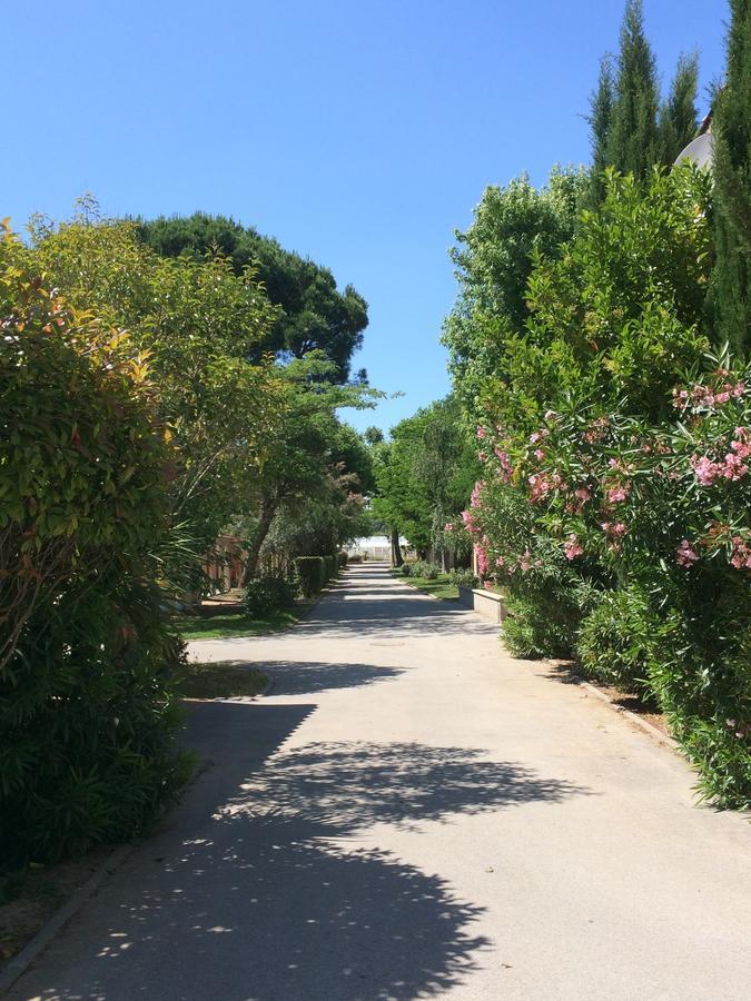 L'Hôtel du Méditerranée Argelès-sur-Mer Exterior foto
